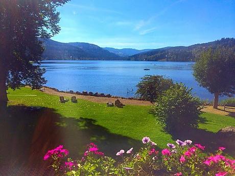 The Romantic Rhine and Black Forest