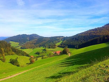 The Romantic Rhine and Black Forest