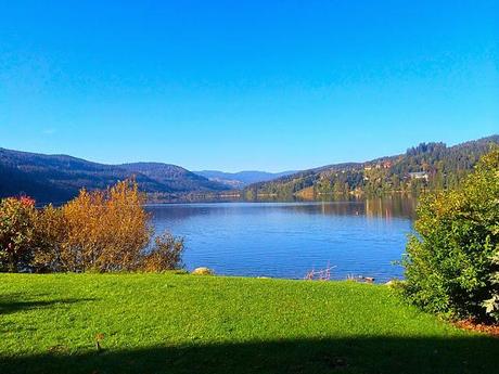 The Romantic Rhine and Black Forest