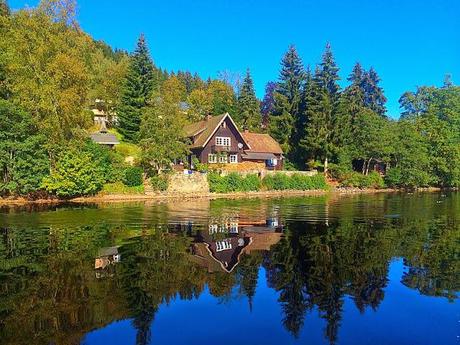 The Romantic Rhine and Black Forest