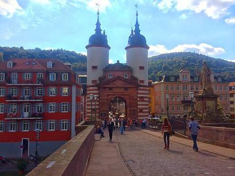 The Romantic Rhine and Black Forest