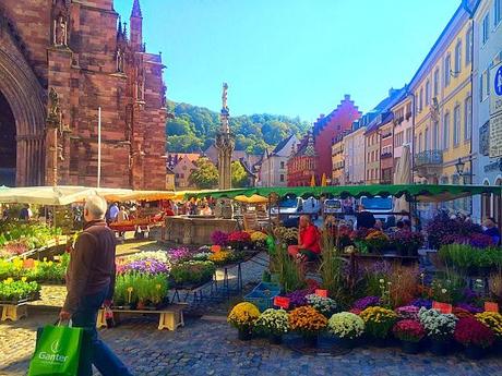 The Romantic Rhine and Black Forest