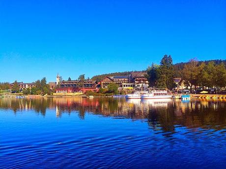 The Romantic Rhine and Black Forest