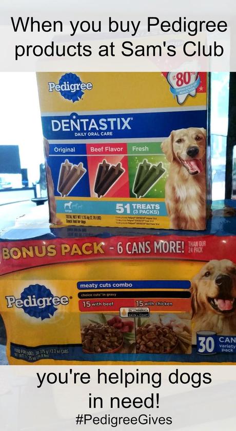 Pedigree is helping to feed shelter dogs by donating one bowl of dog food for every Pedrigree product purchased at Sam's Club in October! #PedigreeGives #shop