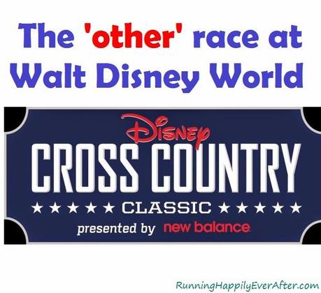 The 'other' Walt Disney World 5K