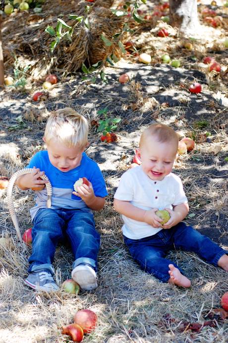 What A Day At The Apple Orchard With Babies Looks Like