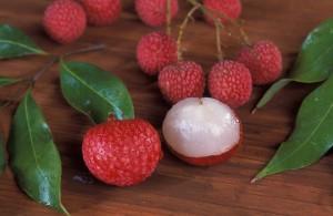 ARS_Litchi_chinensis