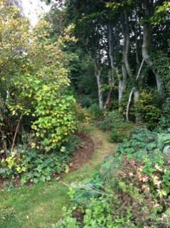 Making Space for Nature Lin`s Garden