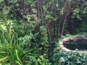 Making Space Nature