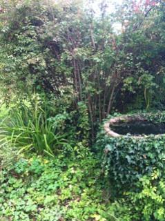 Making Space for Nature Lin`s Garden