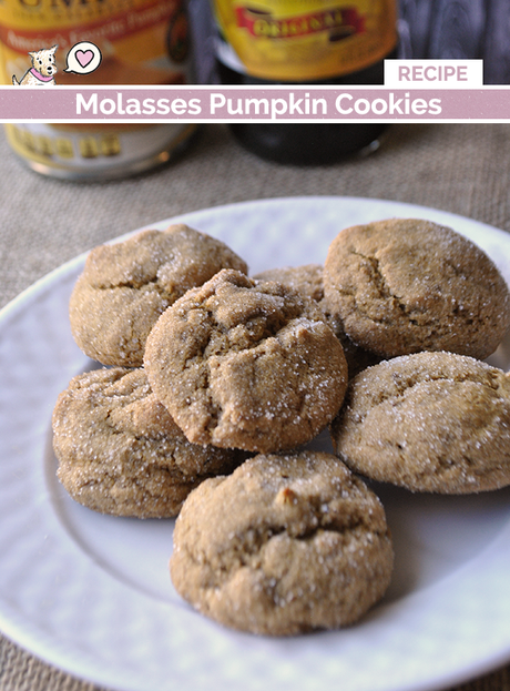 molasses pumpkin cookies recipe