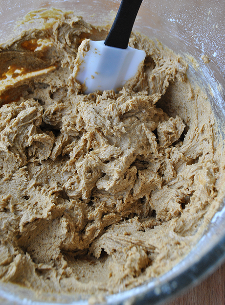 molasses pumpkin cookie dough