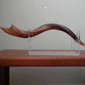 cropped shofar
