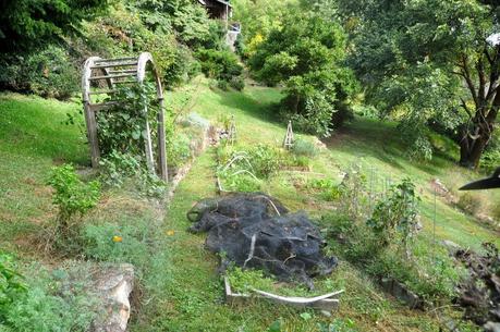 Fall Garden Cleanup