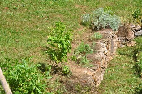 Fall Garden Cleanup