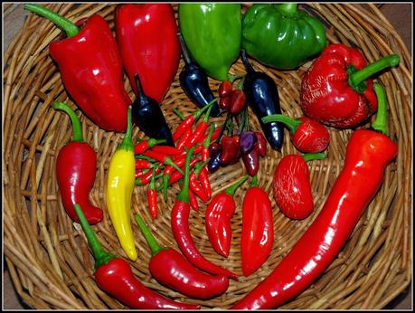 October chillis