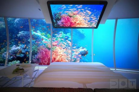 Three Rooms in Your Home That Are Crying out for a Fish Tank