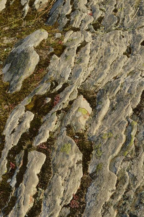 Rocks and crevices