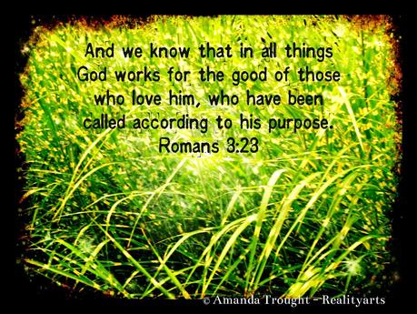 Word for the Week - Romans 8:28