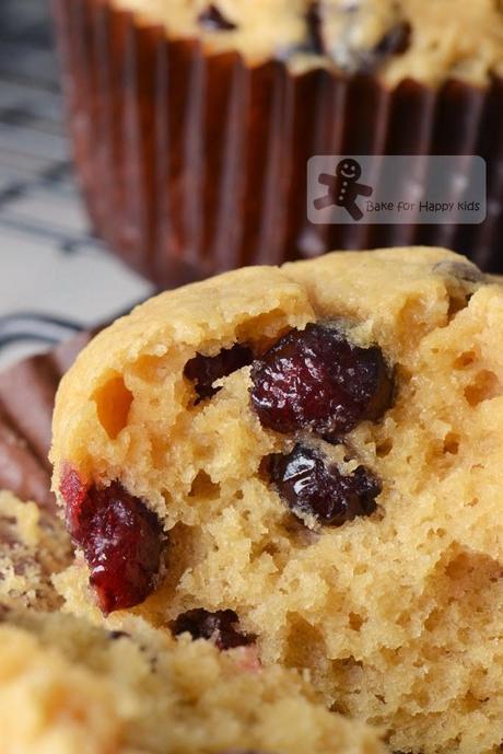 Basic and Moist Cranberry Muffins