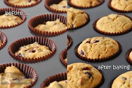 Basic and Moist Cranberry Muffins