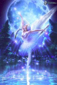 night-fairy,-wings,-ballet,-moon,-water,-swan-134764