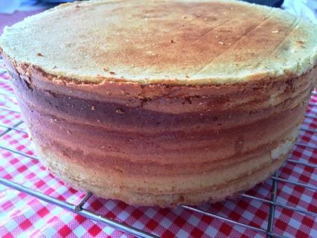 schichttorte freshly baked layered cake gbbo