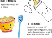Complete Baby Food Guide From Birth Months