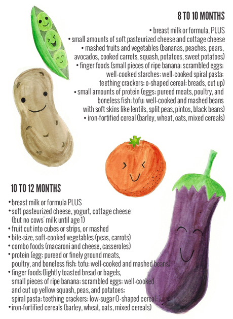 Baby Food Guide Chart from Birth to 12 Months