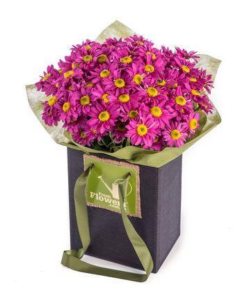 Friendly Days - Purple Chrysanthemums In Upright Black Presentation Box