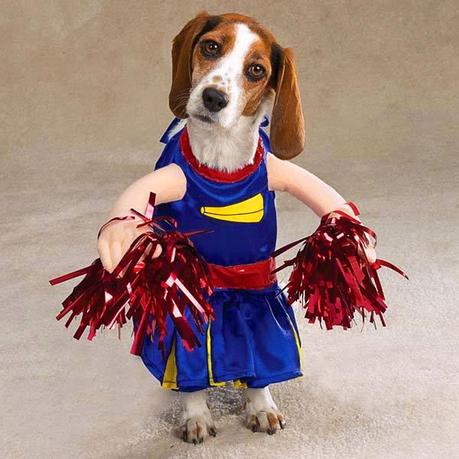 Dog dressed as Cheerleader
