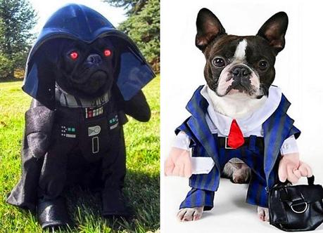 Dogs dressed as Darth Vader dog & Clerk
