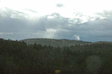 Keira's Provincial Park tours: Barron Canyon Trail, Algonquin Park, Ontario Canada