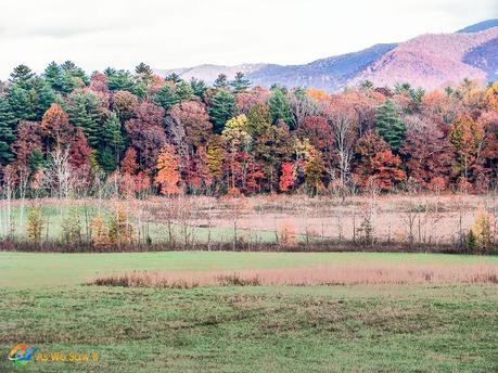 Cades Cove Fall 0929 L Cades Cove: An Autumn Color Story