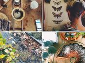 Instagram Lately: Keeping