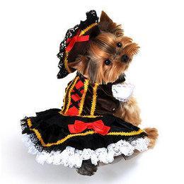 Best Halloween Costumes for Dogs