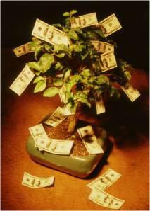 scam money tree