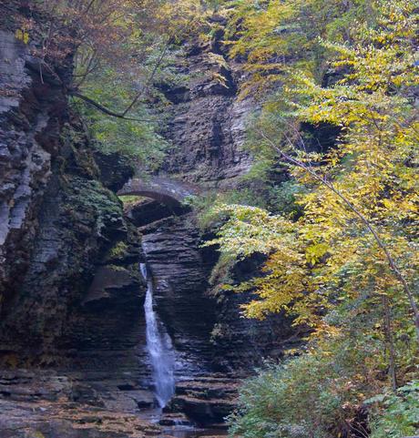 Watkins Glen State Park