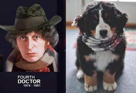 Doctor Who: If the Last 10 Doctors Were Dogs…