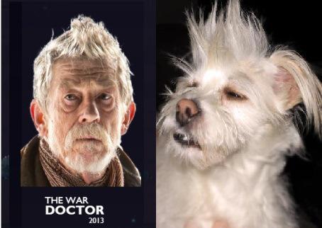 Doctor Who: If the Last 10 Doctors Were Dogs…