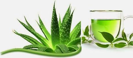 5 DIY HOME-MADE FACIAL MASKS FOR OILY SKIN