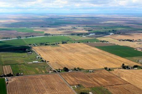 Idaho farmland