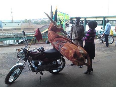 Cow on a boda boda. KLA ART 014. Kampala Railway. artist Grace Sarah