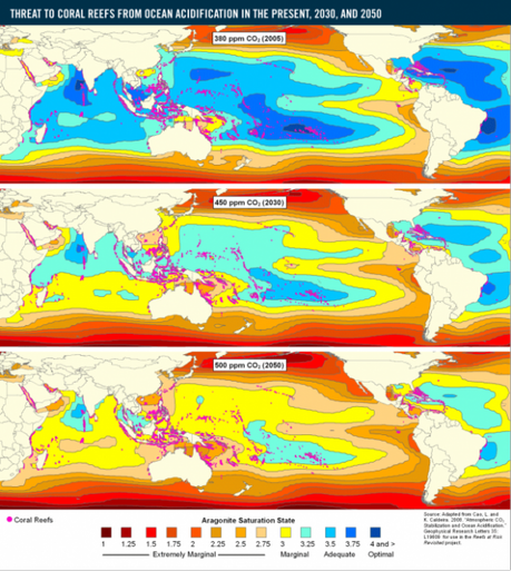 Ocean Acification Through 2050