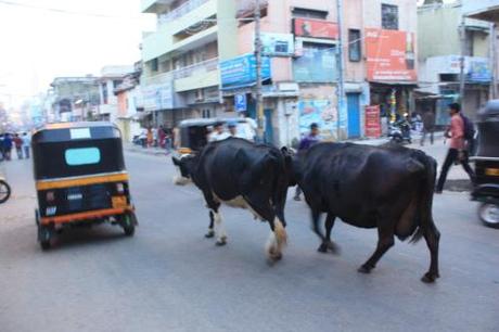 Taken on October 4, 2014 in Mysore