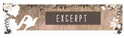 Chapter-by-Chapter-header---Excerpt