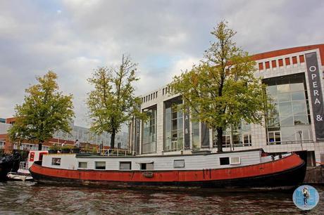 Amsterdam in Autumn | The Little Backpacker