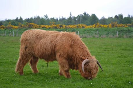 Folklore and fantasies on the Isle of Skye