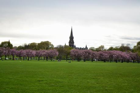 Edinburgh: Home for the Moment