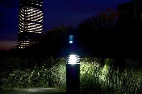 a little night grass.jpg